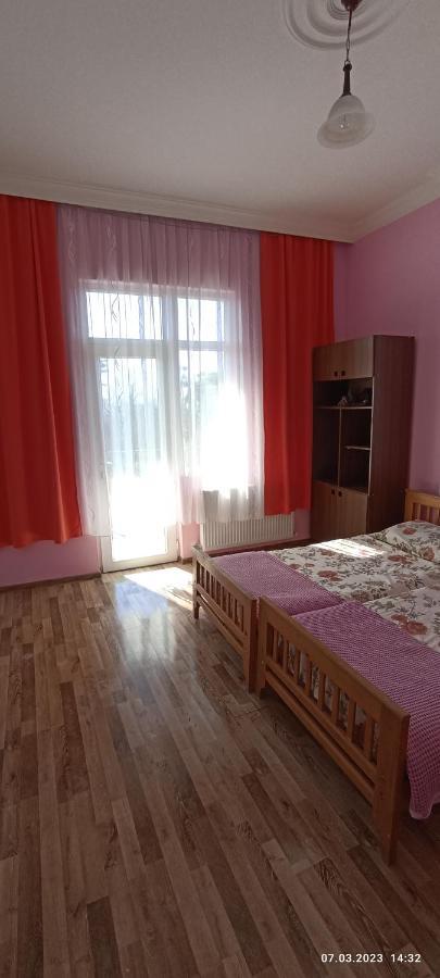 Olesya Guesthouse Mtsvane Konts'khi Dış mekan fotoğraf