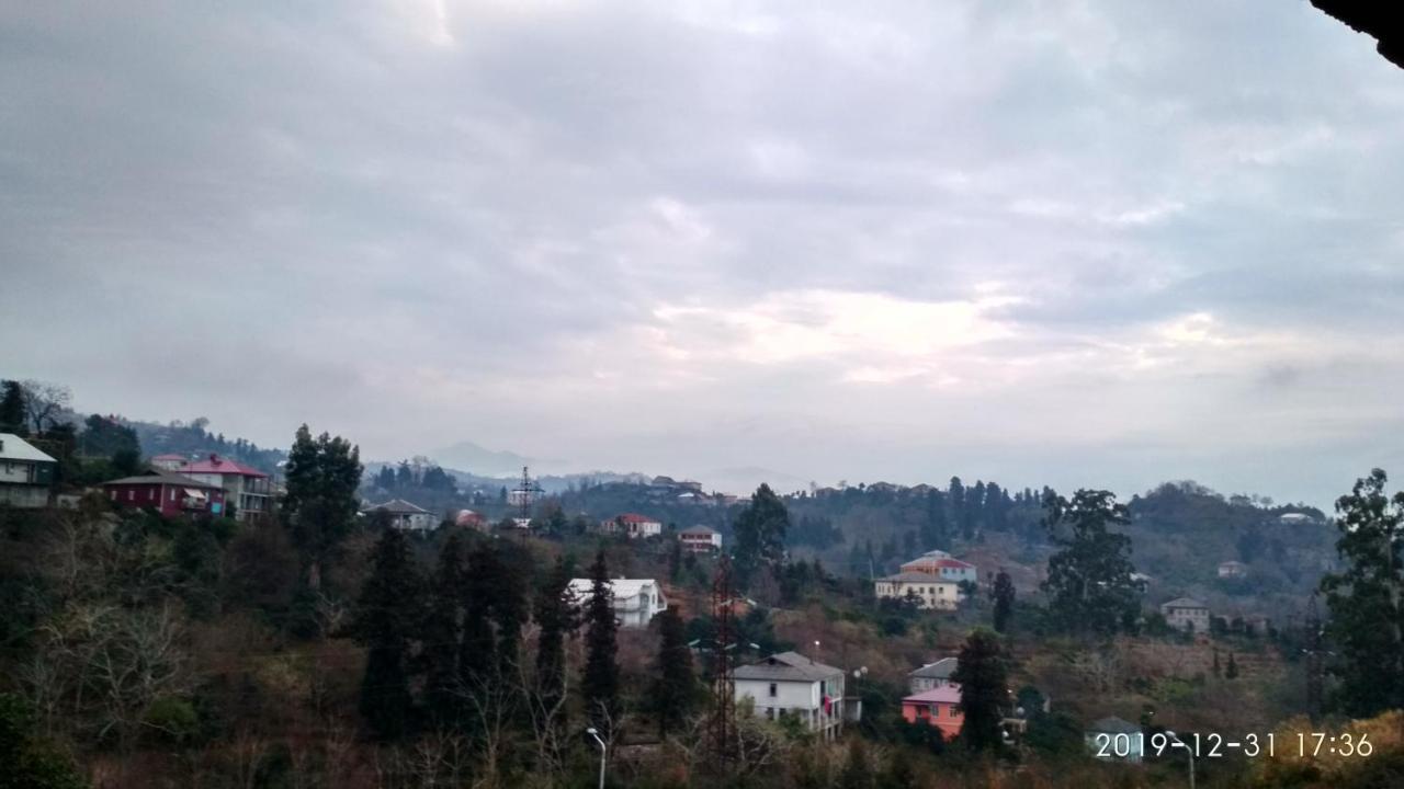 Olesya Guesthouse Mtsvane Konts'khi Dış mekan fotoğraf